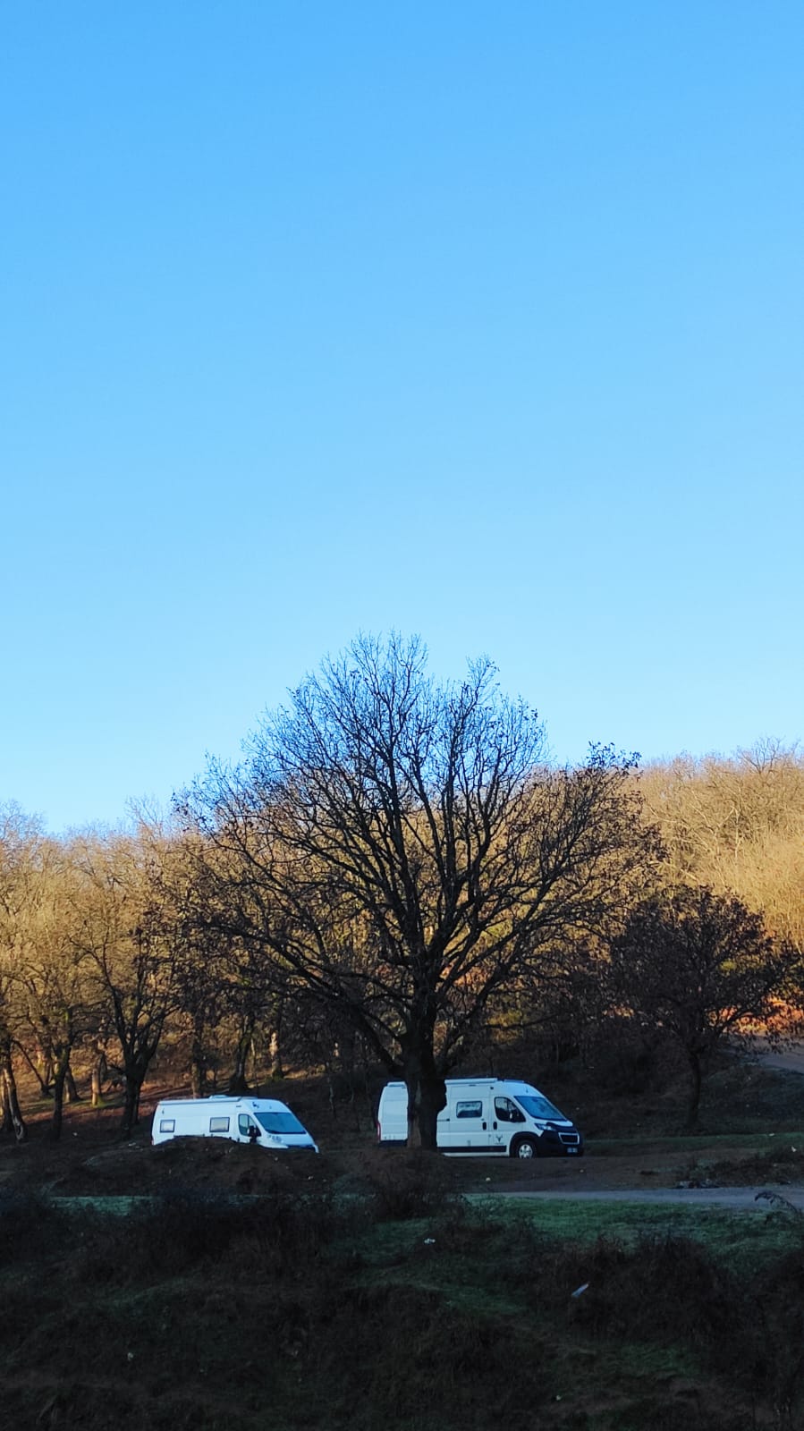Ağaçların yanında park etmiş iki beyaz karavan